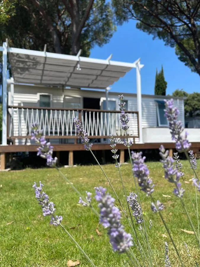 Hôtel Camping Les Cigales à Mandelieu 4*,