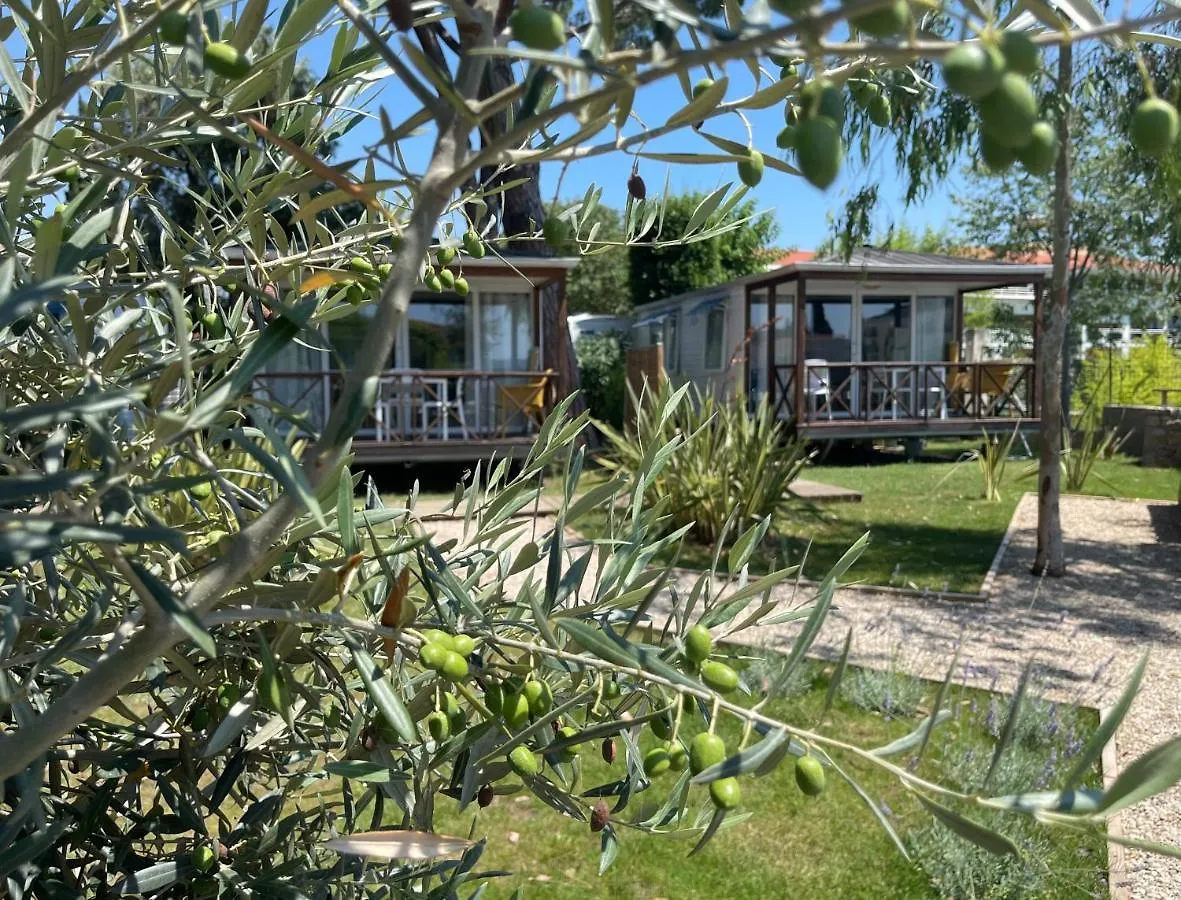 Hôtel Camping Les Cigales à Mandelieu