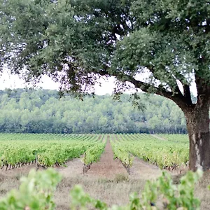 Hébergement de vacances Domaine De Sigalous